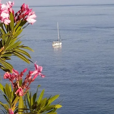 Palmeras * Almuñécar