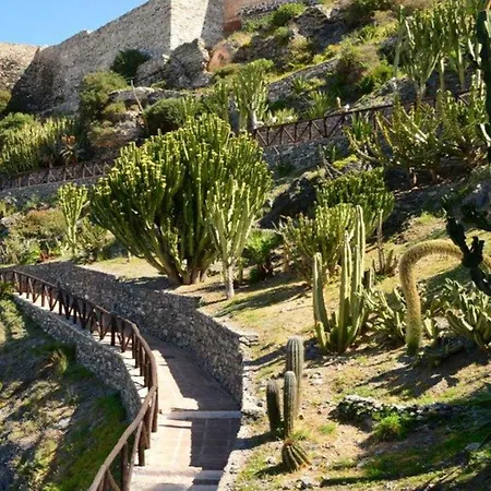Palmeras Almuñécar