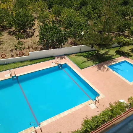 Palmeras