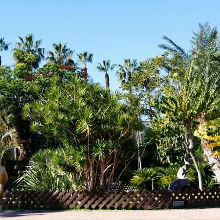 Palmeras * Almunecar